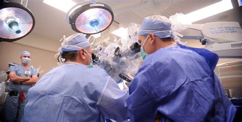 Education - Otolaryngology