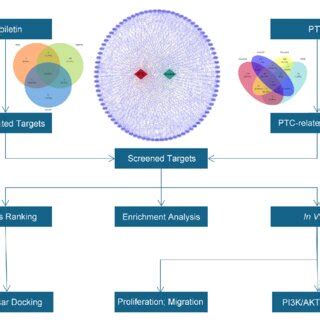 flow chart describes  design   team project