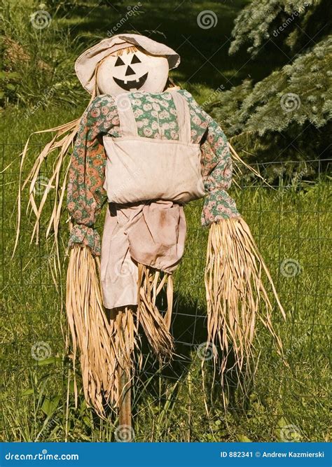 Scare Crow stock image. Image of halloween, face, grass - 882341