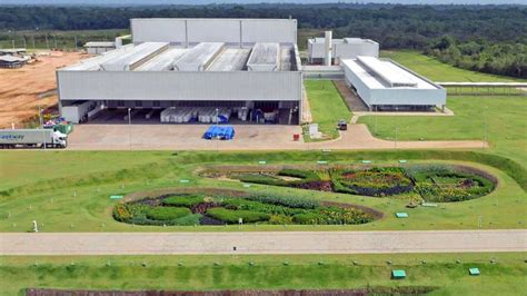 Jardins Filtrantes Se Espalham Pelo Pa S Para Despoluir Rios E Lagos