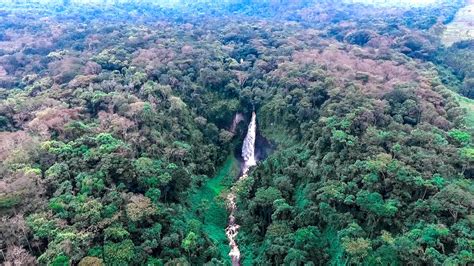 Kahuzi Biega National Park | Congo Safari Destinations