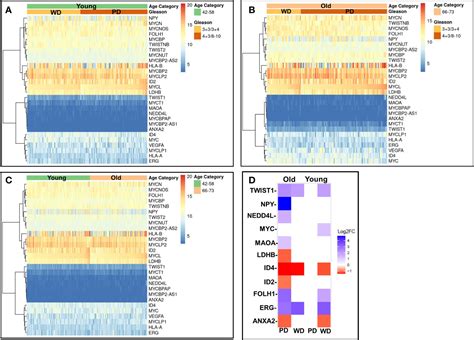 Frontiers Age And Tumor Differentiation Associated Gene Expression