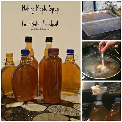 Homemade Maple Syrup Follow The Process Of Tapping Maple Trees