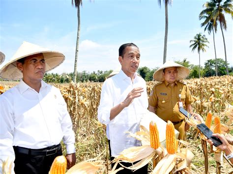 Presiden Dorong Peningkatan Produksi Dan Kesejahteraan Petani Inpost Id