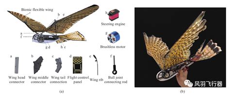 仿生扑翼飞行器的控制系统飞行器 控制系统 技术邻
