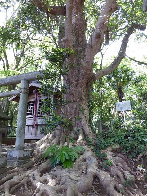 北六所神社