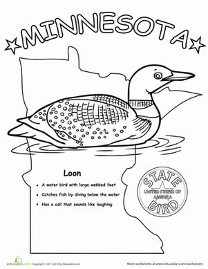 Minnesota State Bird | Worksheet | Education.com