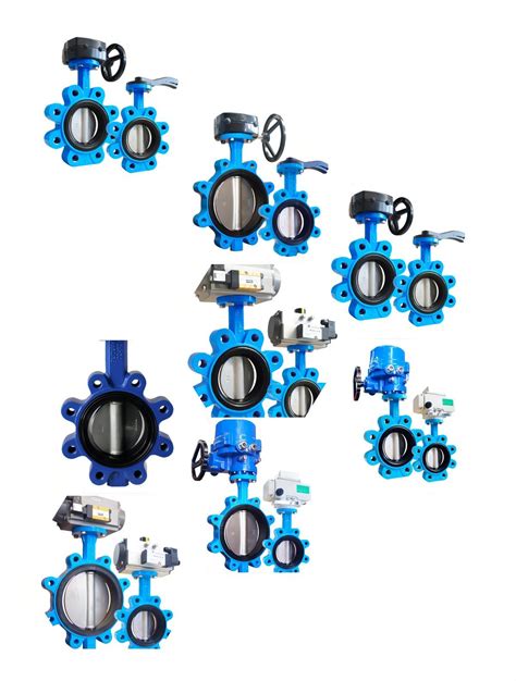 Concentric Disc Wafer Type Rubber Lined Butterfly Valve Lug Type