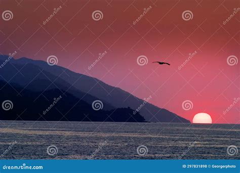 Banderas Bay stock photo. Image of shores, mountains - 297831898