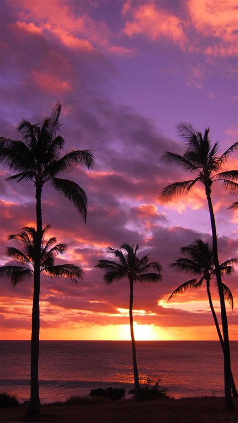 Pin By The Weird World Of Sara On Voglia Di Viaggiare Hawaiian Sunset