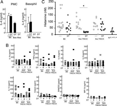 Role Of Mast Cells And Basophils In Ige Responses And In Allergic