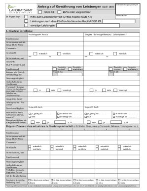 Ausf Llbar Online Antrag Auf Gewhrung Von Leistungen Nach Dem Sgb Xii