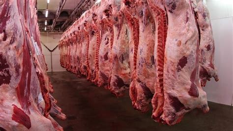 En 20 Años El Consumo De Carnes Vacunas Bajó De Casi 68 Kilos A 51