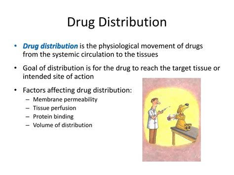 What Is Drug Distribution In Pharmacology At Byron Deslauriers Blog