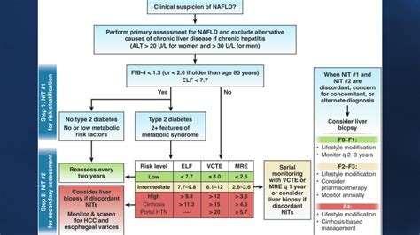 New Clinical Practice Update Role Of Noninvasive Biomarkers In MASLD