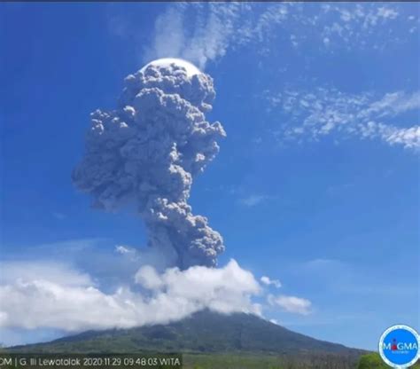 Info Terkini PVMBG Gunung Ile Lewotolok Di Lembata NTT Didominasi