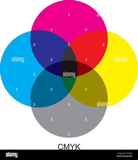 Gráfico Vectorial Que Explica La Diferencia Entre Los Modos De Color