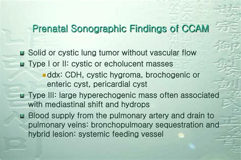 Ppt Congenital Cystic Adenomatoid Malformation Ccam Powerpoint Presentation Id 3410189