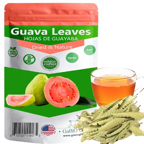 Amazon Gabio Green Dried Whole Guava Leaves 0 95 Oz Non GMO