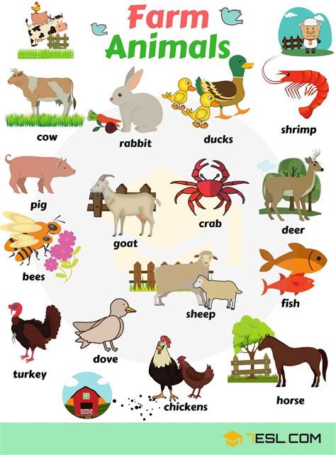 Farm Animal Artinya Adalah