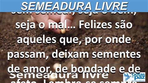 Semeadura Livre Udio Gotasdepaz Mensagens Edificantes Youtube