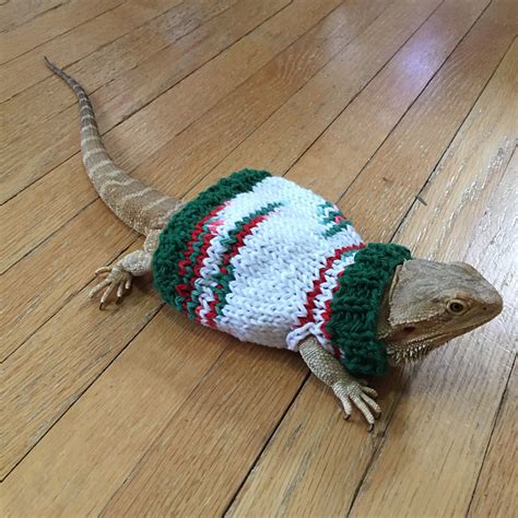 Ravelry: ollyoxenfree's Bearded Dragon Christmas Sweater