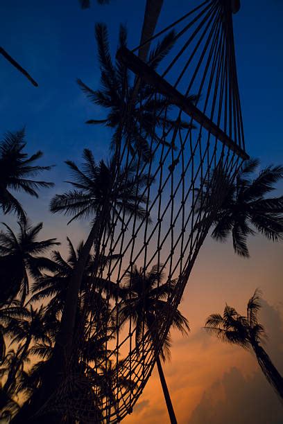 Hammock Beach Night Stock Photos Pictures And Royalty Free Images Istock