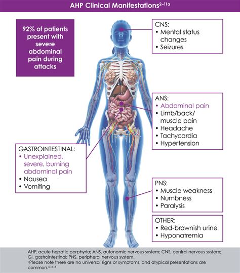 Clinical manifestations | Acute Hepatic Porphyria | medthority.com