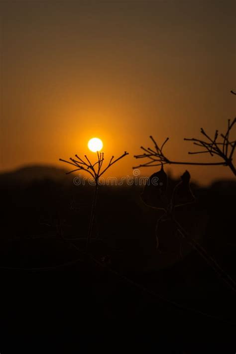 Belleza De La Naturaleza Al Atardecer Una Puesta De Sol Serena Con