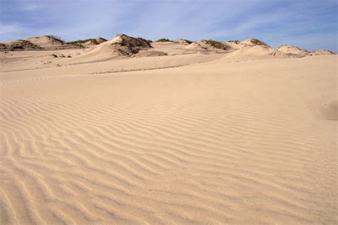 Texas sand dunes Photos in .jpg format free and easy download unlimit ...