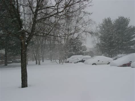 Snow Storm in New Hampshire | The Wonderful World