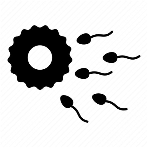 Conception Fertilization Nucleus Ovary Pregnant Sex Sperm Icon