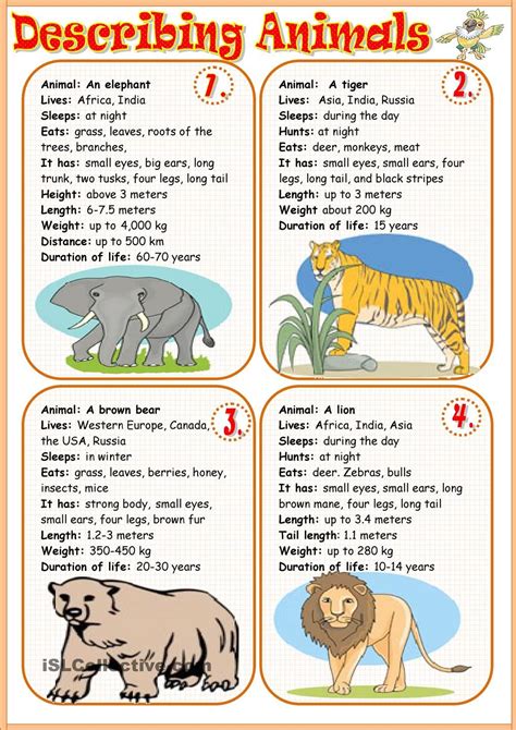 Describing Words For Animals