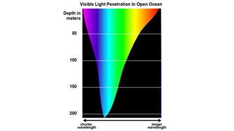 Wavelength Color Chart