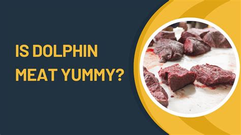 Why Is Dolphin Meat Black? Is It Safe To Eat Dolphin Meat? | DolphinXpert.com