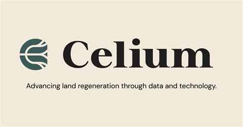 Celium Group LLC.