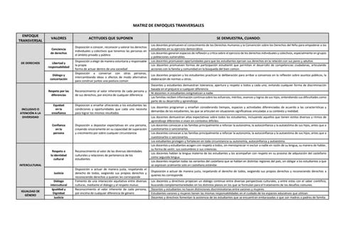 Matriz De Enfoques Transversales Docx