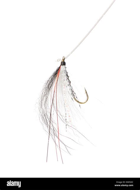 Fly Fishing Lure Stock Photo Alamy