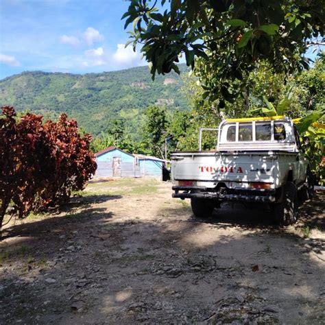 Barahona Avocado Farm