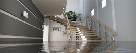 Basement Waterproofing - AquaGuard Waterproofing