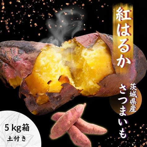 新芋 生芋 紅はるか M〜lサイズ 5kg 茨城 さつまいも 箱 さつま芋 甘い おいも お芋 芋 いも 茨城県産 ひたちなか 国産 5キロ