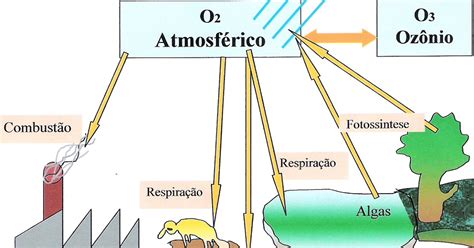 Biologia No Ensino M Dio Ano Aula Ciclo Do Oxig Nio