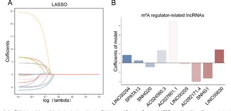 Figure 3 From The Prognostic Value Of A Lncrna Risk Model Consists Of 9