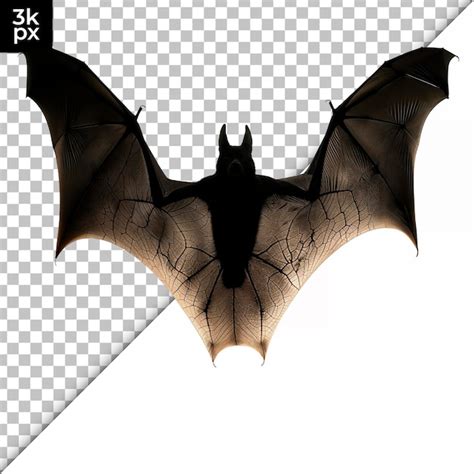 Premium Psd Bat Silhouette Isolated On Transparent Background