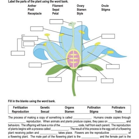 Flowers And Fertilization Free Pdf Download Learn Bright