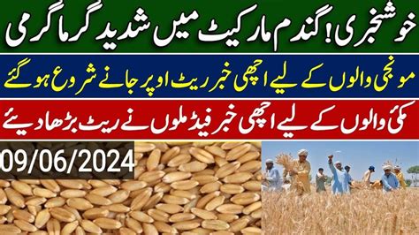 Wheat Price Today Maki Munji Till Sarso Bajra New Rates