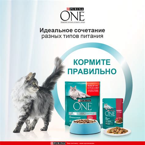Корм для кошек Purina One взрослая говядина-морковь 75г купить по цене ...