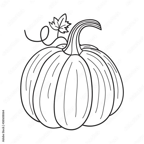 Pumpkin for coloring book. Line art design for kids coloring page ...