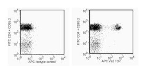 Vα 2 TCR Rat anti Mouse APC Clone B20 1 BD 50μg APC Ver productos