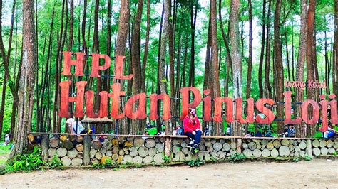 Wisata Hutan Pinus Loji Lereng Kelud Blitar YouTube